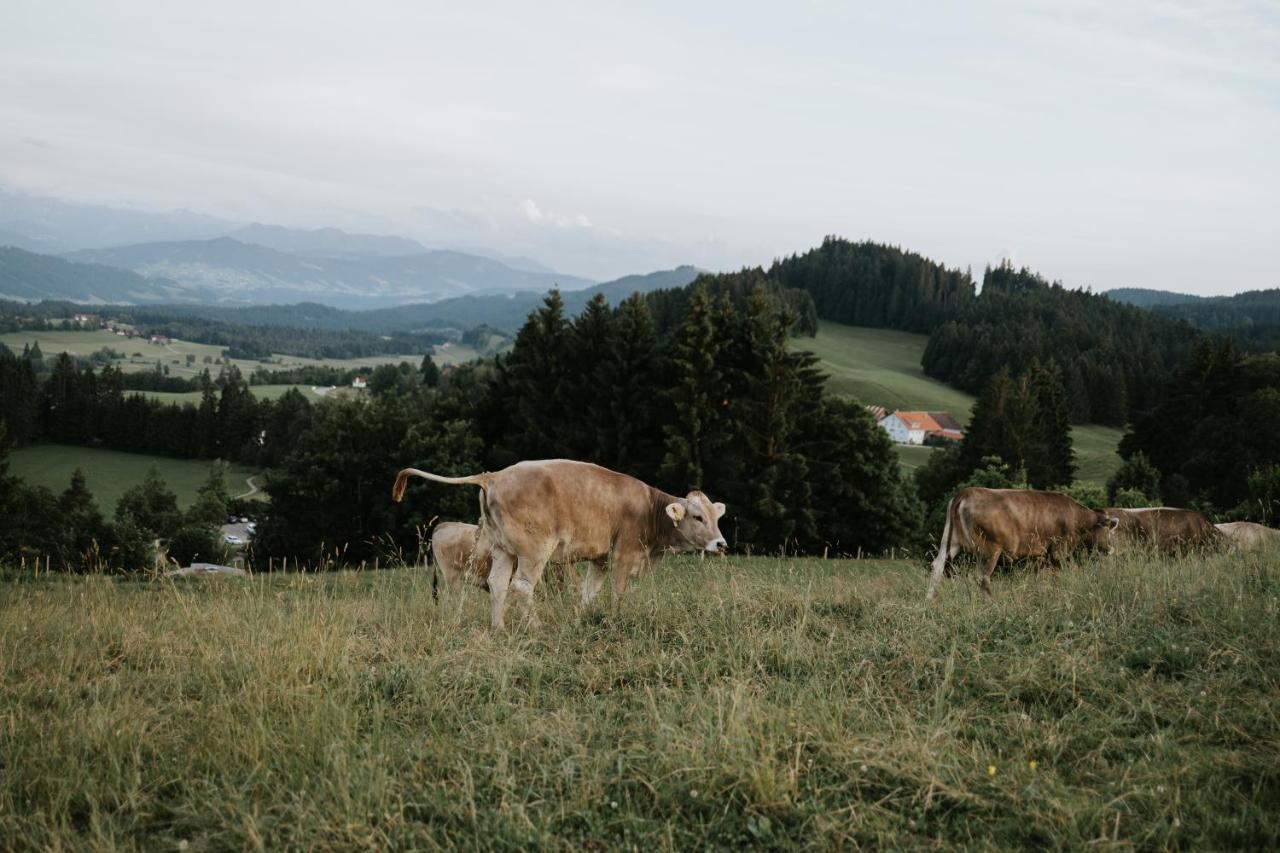 Ferienwohnung Alpenblick I Kamin I Private Sauna Wangen im Allgäu Exterior foto